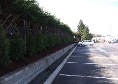 Retaining wall project by Island West Paving Stone, photo 34